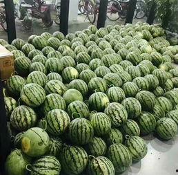 武汉高校吃瓜群,校园热点一网打尽，青春记忆里的欢声笑语