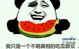 qq图片吃瓜啥意思,从QQ图片流行语看网络文化现象