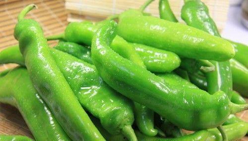 瓜妹吃辣椒,瓜妹挑战辣椒的味蕾冒险之旅