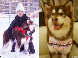 香香公主与爱犬吃瓜,香香公主与爱犬共享夏日瓜果时光