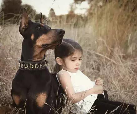 香香公主与爱犬吃瓜,香香公主与爱犬共享夏日瓜果时光