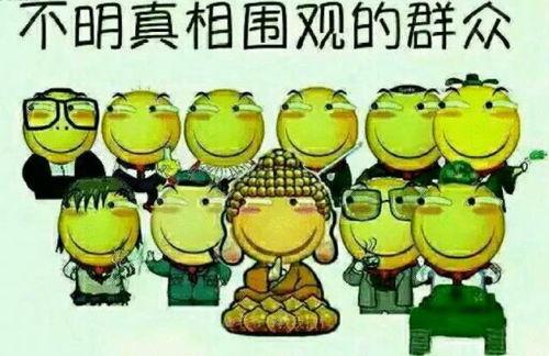 吃瓜群众英语gallery