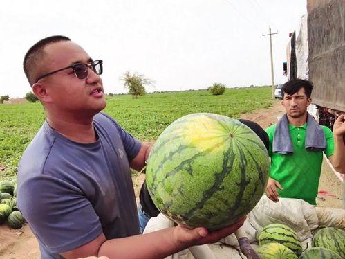 夸克打开51吃瓜,一场吃瓜群众的狂欢盛宴