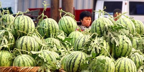 老瓜新吃盘点,探寻传统美食的时尚演绎