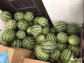 阳谷吃瓜群,揭秘民间热点事件的“舆论风向标”