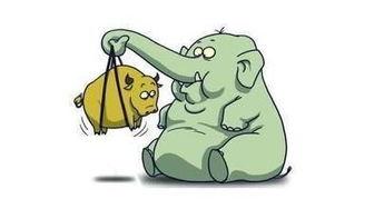 吃瓜群众股市,吃瓜群众视角下的投资盛宴