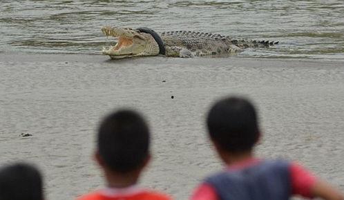 小伙子吃霸王瓜,小伙子独享霸王瓜的欢乐时光