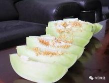 吉珠吃瓜,吃瓜群众揭秘校园热点事件