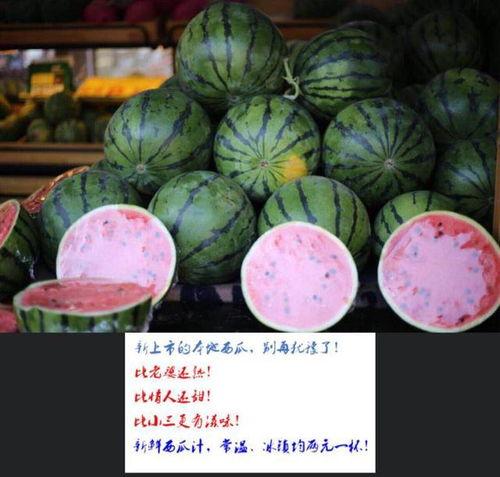 吃瓜搞笑图文图片,趣味图文，带你领略欢乐瞬间