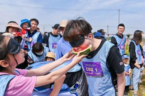 蒙着眼吃瓜,揭秘神秘美食的奇妙之旅