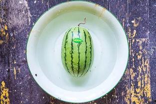 吃瓜屠宰,一场无声的生态浩劫