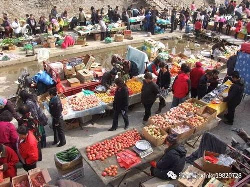 吃瓜屠宰,一场无声的生态浩劫