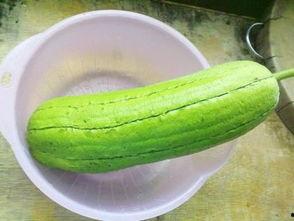 水瓜孕妇可以吃