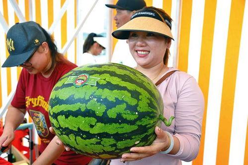 高兴吃瓜,探寻高兴吃瓜的趣味人生