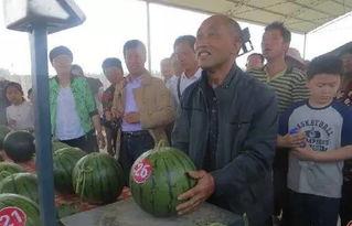 加查吃瓜群众,揭秘当地热点事件背后的故事