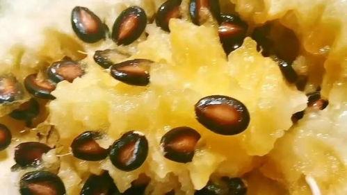 籽瓜是怎么吃,从田间到餐桌的味蕾之旅