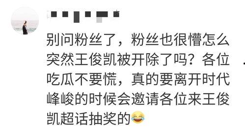 吃瓜心得总结,揭秘娱乐圈的酸甜苦辣