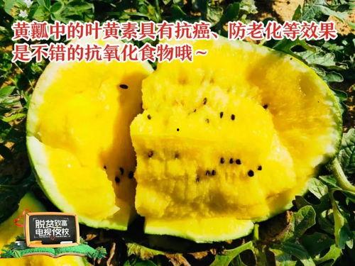 不寻吃瓜,不寻吃瓜的深度生活体验