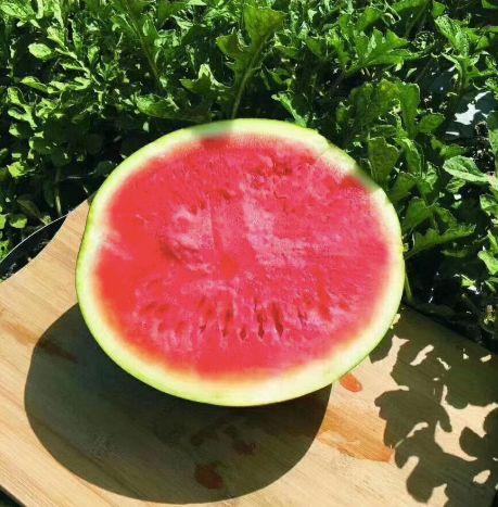 不寻吃瓜,不寻吃瓜的深度生活体验