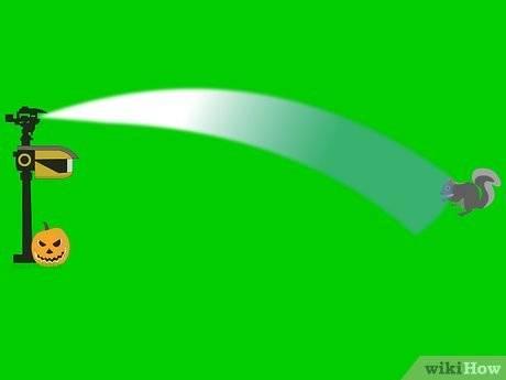 如何防止松鼠吃瓜,实用防鼠攻略大揭秘