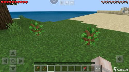 我的世界吃瓜现状,吃瓜群众热议，游戏生态新风向