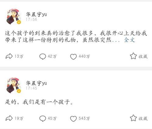 吃瓜不能停小说,揭秘小说世界里的爱恨情仇