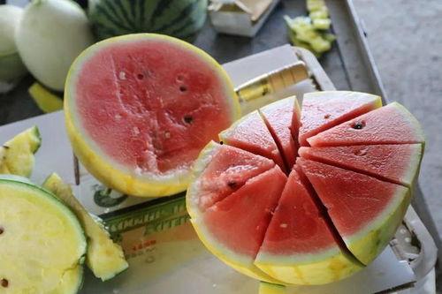 嘉怡城吃瓜,揭秘网红美食背后的故事