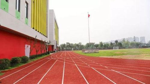 晓庄学院操场吃瓜,校园生活新风尚