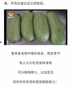 湖南吃瓜博主,湖南吃瓜博主带你揭秘当地美食圈八卦