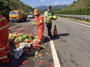高速免费吃瓜群众,吃瓜群众狂欢时刻