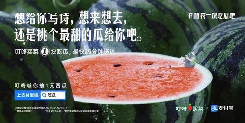 子林吃瓜文案,揭秘娱乐圈那些不为人知的幕后故事