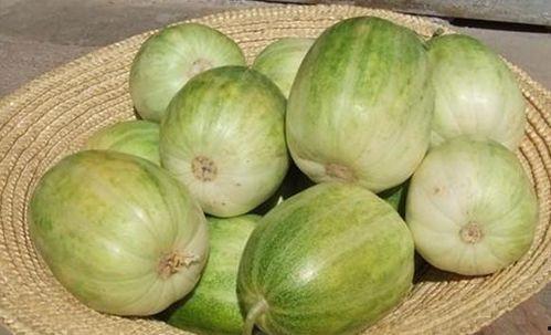 吃瓜网硬,吃瓜网带你领略明星幕后故事