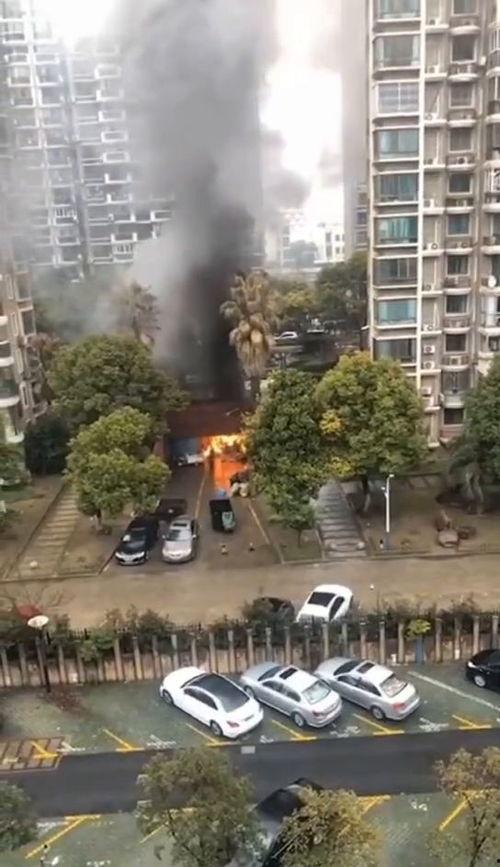 吃瓜的天堂小区,小区里的欢乐时光与邻里温情