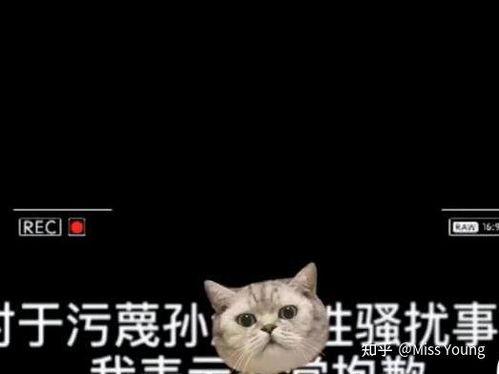 吃大瓜恶心,大瓜盛宴背后的恶心真相揭秘