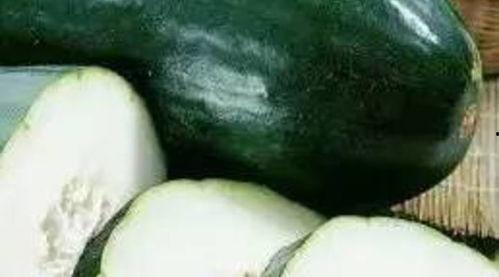 什么瓜的虫子可以吃,探索可食用瓜类虫子的奥秘