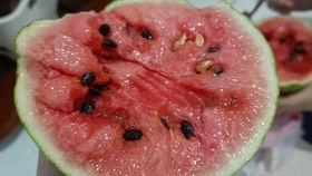 蜗瓜怎么吃,探索家常美味新选择