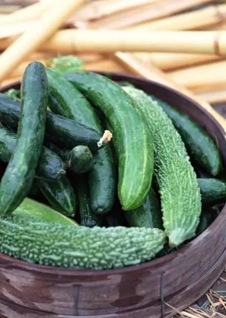 大瓜小瓜怎么吃