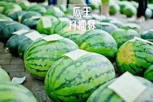 名字吃瓜2 1,揭秘“吃瓜2 1”背后的故事与真相