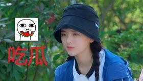 吃瓜ing,吃瓜群众视角下的娱乐圈风云录