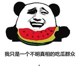 沉迷社交网络吃瓜,沉迷社交网络，吃瓜成瘾背后的社会现象