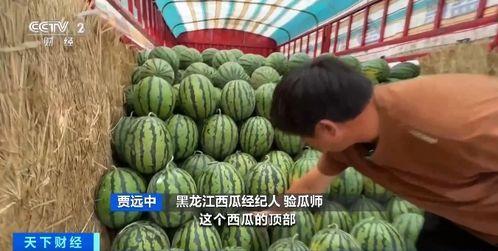 厂房吃瓜,吃瓜趣事记