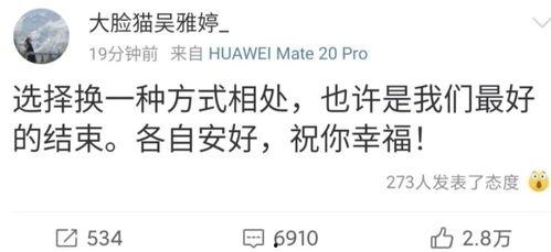 离婚登记吃瓜,吃瓜群众围观，揭秘婚姻背后的真相