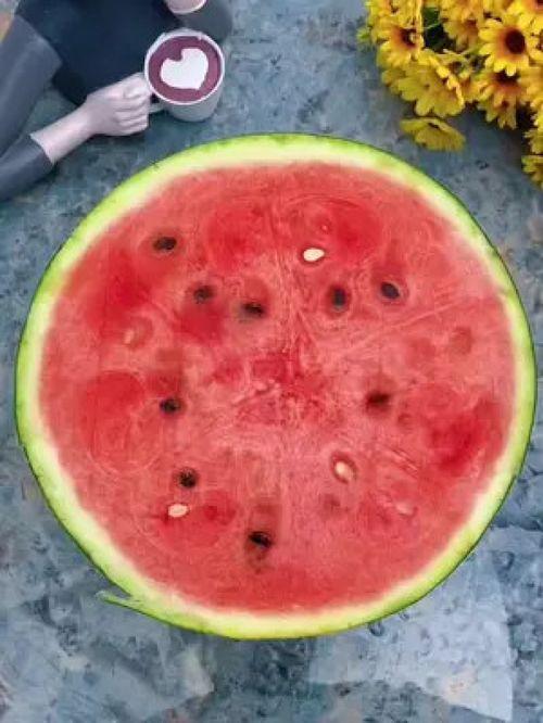 吃瓜神器质量,品质与口碑的双重保障