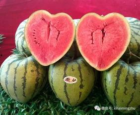 派对带你吃瓜,派对带你领略美食瓜果盛宴