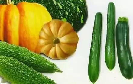 职教城吃瓜,揭秘校园生活趣事