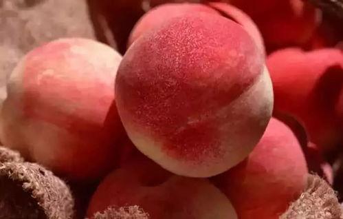 抖音桃子吃瓜,揭秘网红背后的故事