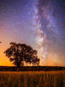 星空美女吃瓜图片,美女吃瓜图鉴