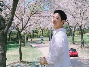 丁海寅吃瓜,娱乐圈的“瓜田”再起波澜