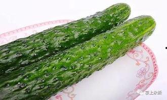 凉瓜水瓜可以一起吃吗,凉瓜与水瓜同食的适宜性探讨