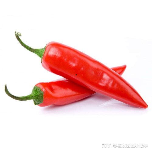 瓜妹吃辣椒,瓜妹挑战辣椒的味蕾冒险之旅